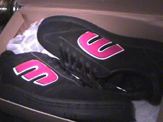 etnies1.jpg