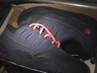 etnies2.jpg
