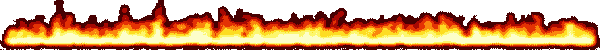 firebaraaa.gif
