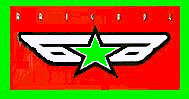 brigade flash
