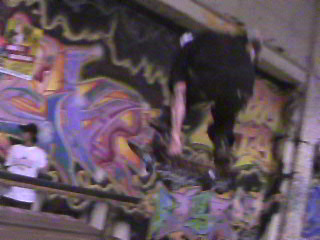 mike vallley demo pic 32