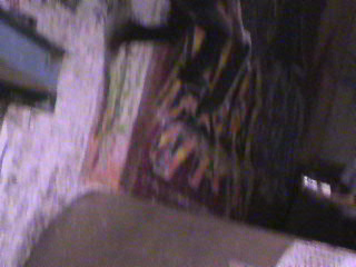 mike v demo pic 36
