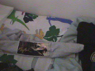 shirt2.jpg